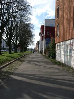 Radweg Vaubanallee Richtung Westen