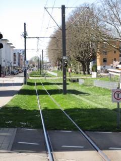 Strassenbahnschienen im Grünen