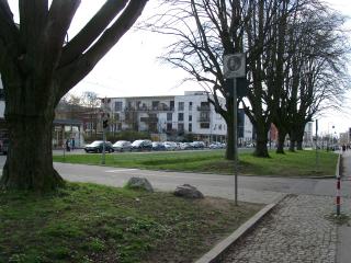 Alte Linden an der Vaubanallee