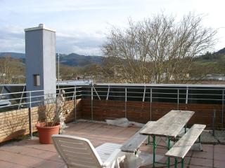 Dachterrasse in der Ida-Kerkovius-Strasse