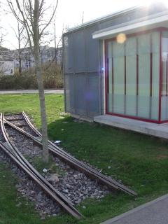 Weiche und Baum am